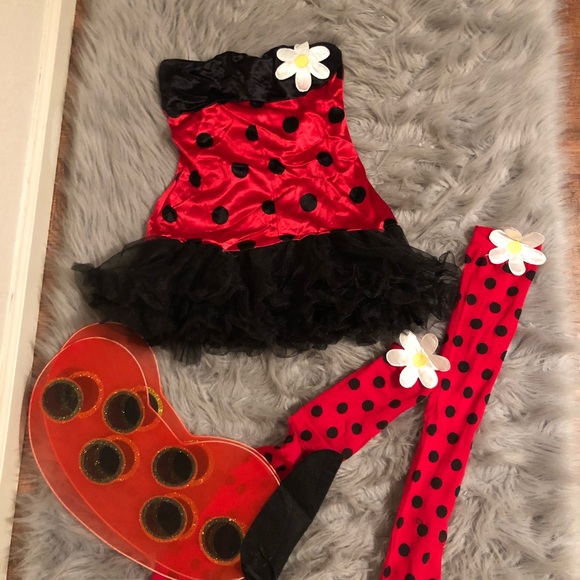 New Ladybug 🐞 Custom - Picture 3 of 8
